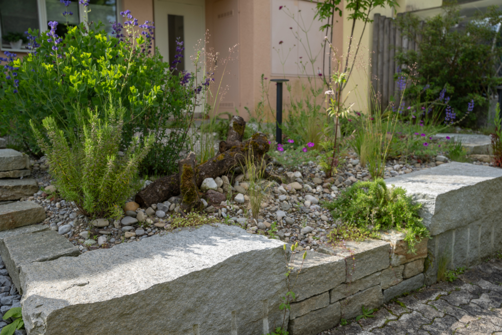 Kleiner naturnaher Garten mit Kiesfläche, Wildstauden und Purpurblüten in einem urbanen Umfeld