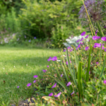 Blühender Randabschluss